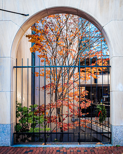 Salem, MA - Nov 2024